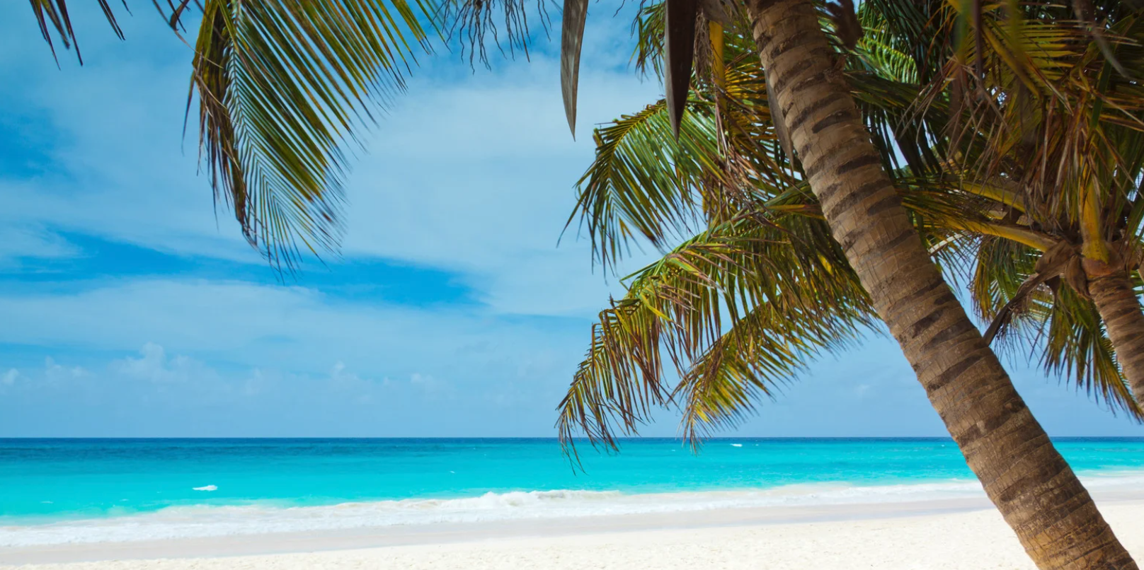 Summer-Recruiting ☀️⛱️: Deine Mitbewerber hassen diesen Trick!
